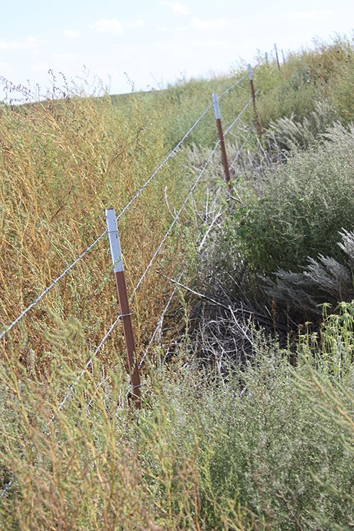 Property photo 116 - LAND AUCTION, 3255+/- Acres offered in 13 Tracts